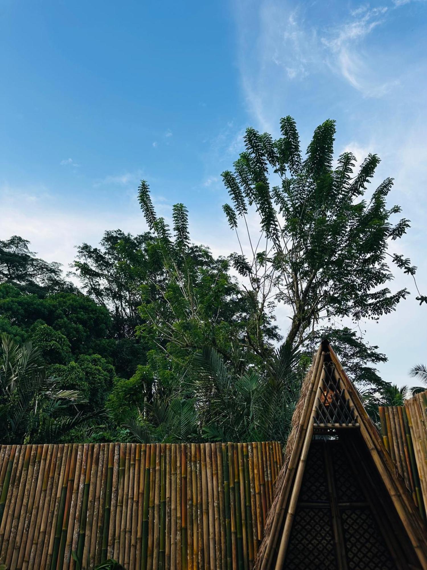 Bamboo House - Ecobreeze Villa Сидемен Екстериор снимка